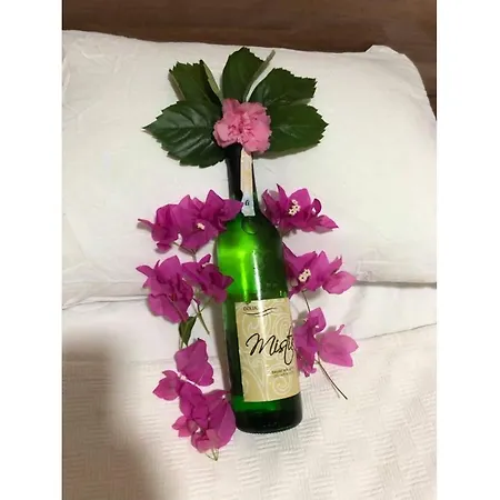 Speedy Lägenhetshotell 4*